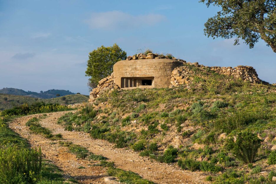 Activities & fitness