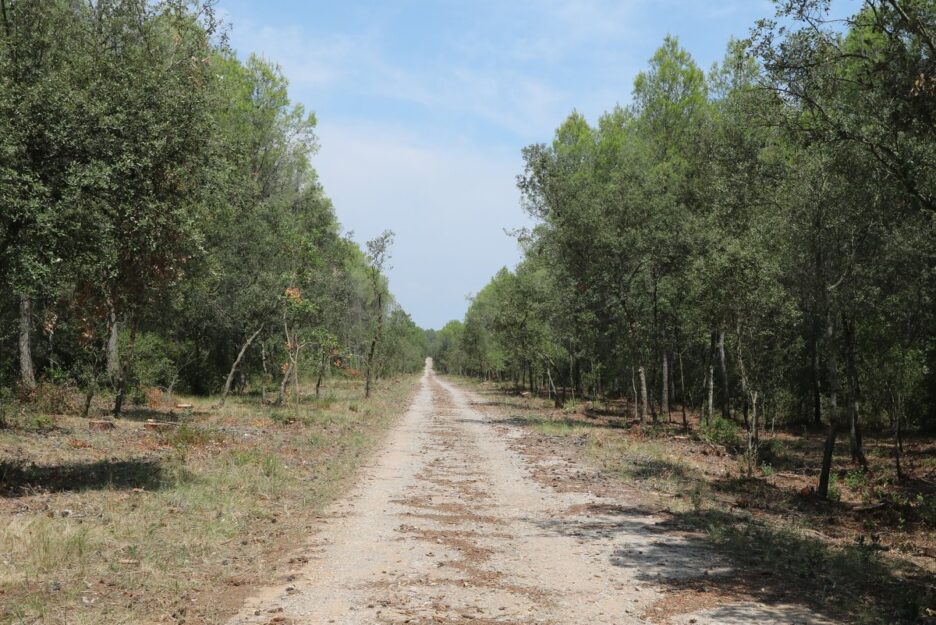 Торроэлья-де-Монтгри — Ла-Мунтанья-Гран — Ль’Эстартит — Торроэлья-де-Монтгри (BTTBE 41)