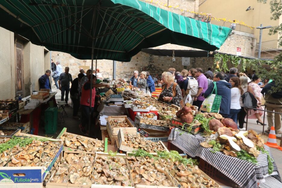 Цветочный фестиваль «Время цветов»