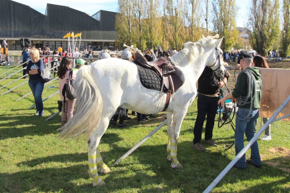 The Fair of Sant Martirià in Banyoles