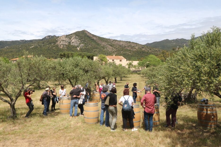 День города Палафружель (Праздник Святой Маргариты)