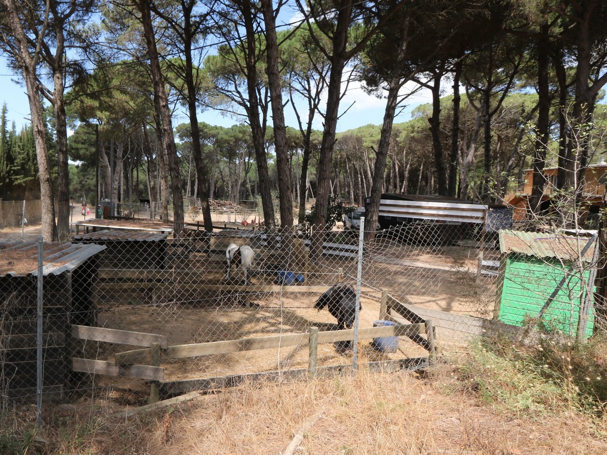 Horse riding clubs